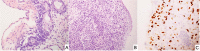 Fig. 8
