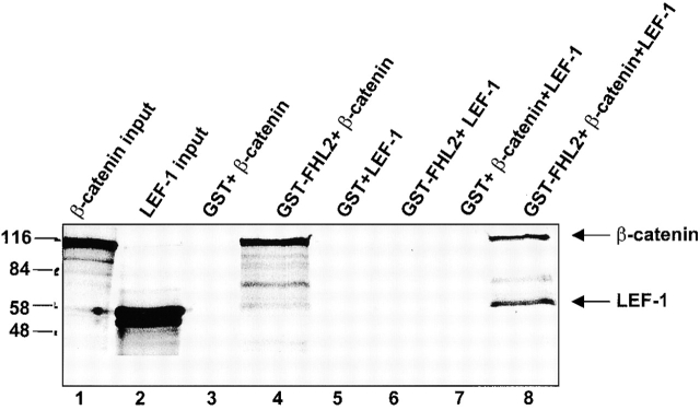 Figure 8.