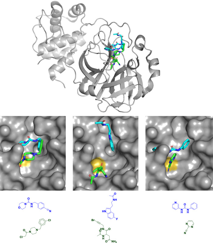 Fig. 1