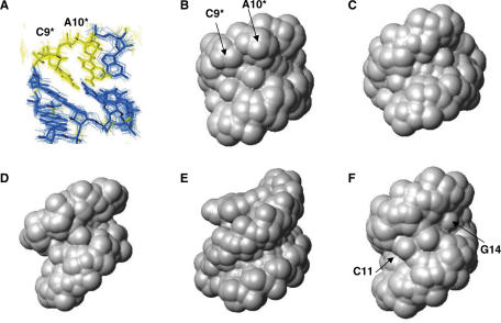 Figure 4.