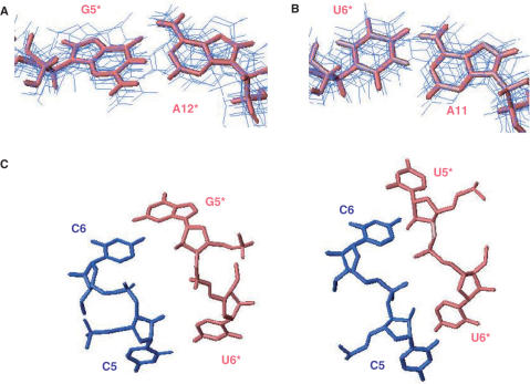 Figure 6.