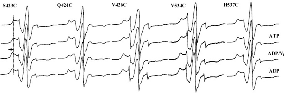 FIGURE 5