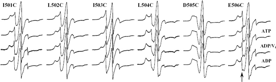 FIGURE 4