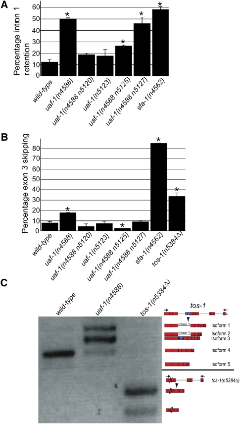 FIGURE 4.