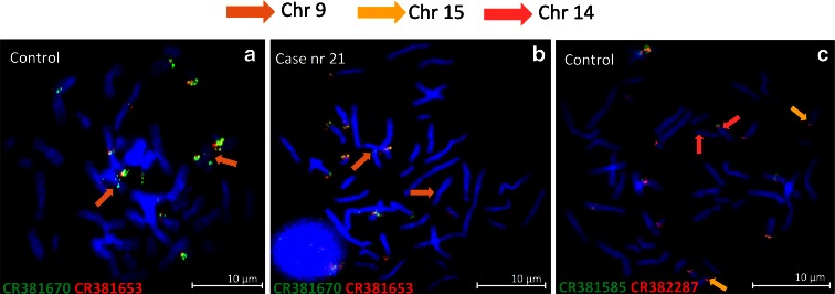 Fig. 2