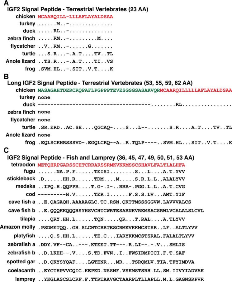 Figure 11.