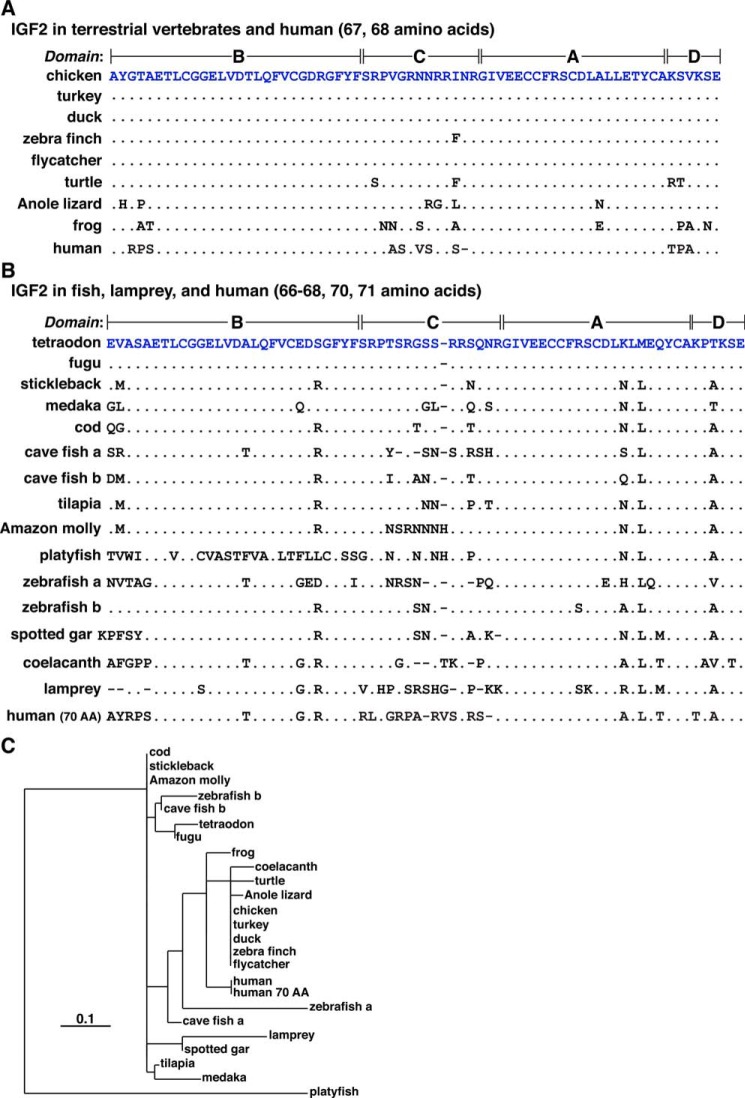 Figure 10.