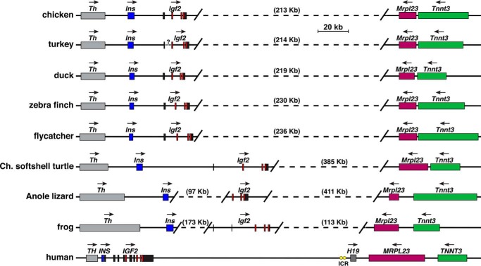 Figure 13.