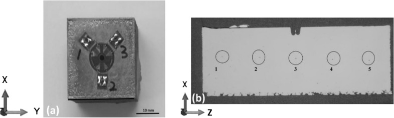 Fig. 1