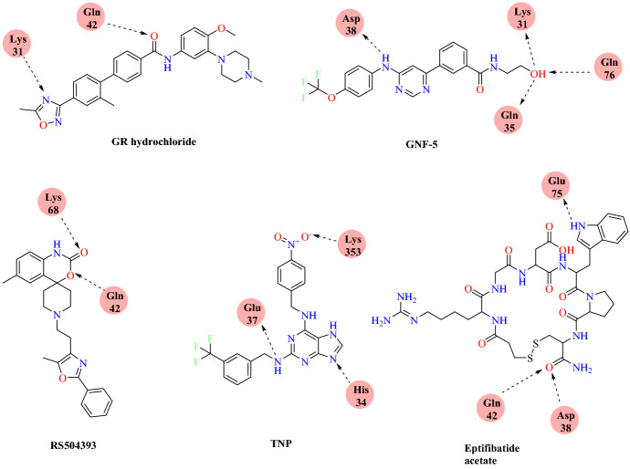 Fig. 25