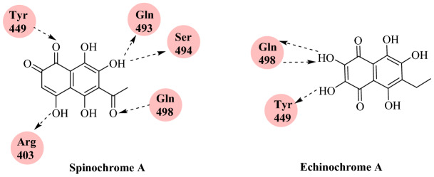 Fig. 43