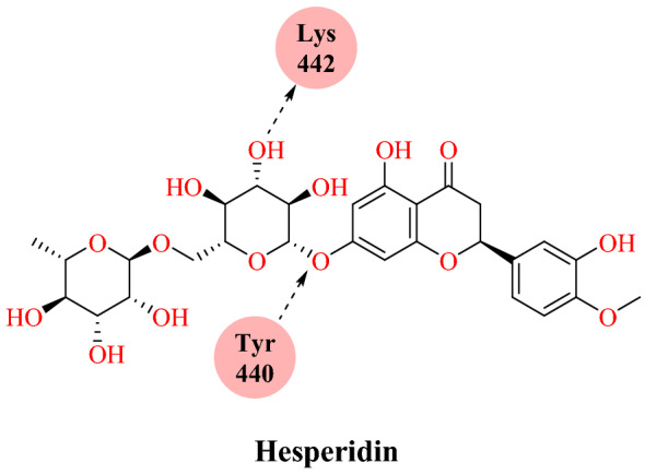 Fig. 29