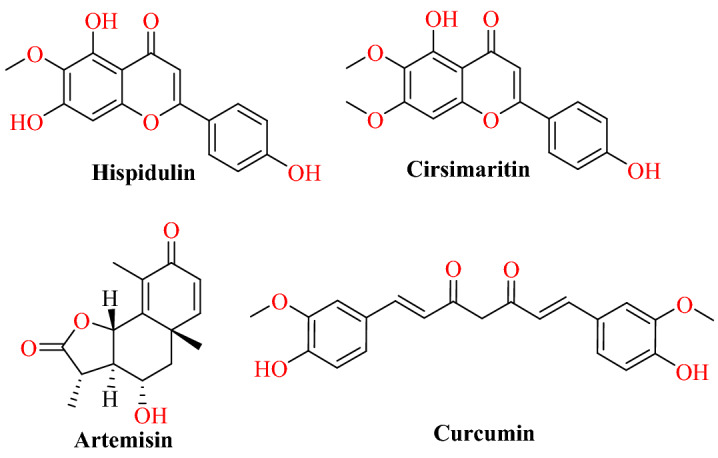 Fig. 12