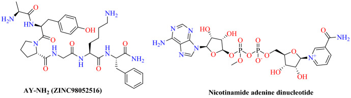 Fig. 40