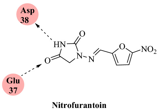 Fig. 19