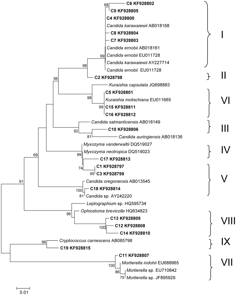 Figure 2