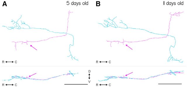 Figure 3.