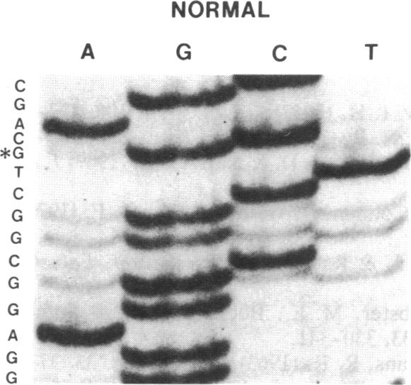 graphic file with name pnas01026-0286-a.jpg