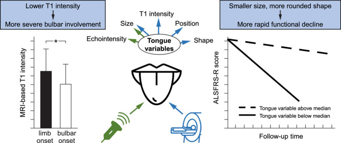 Image, graphical abstract