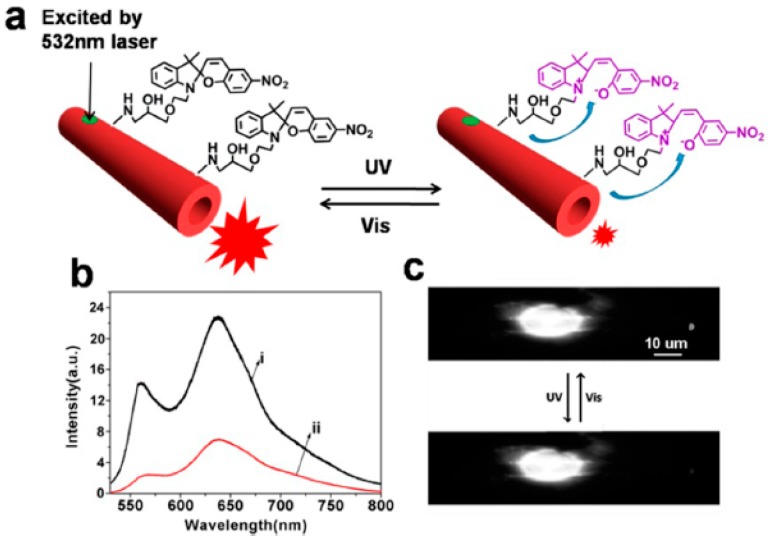 Figure 12