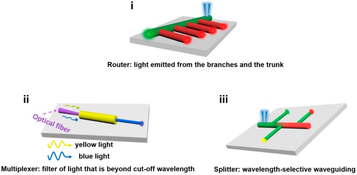 Figure 19