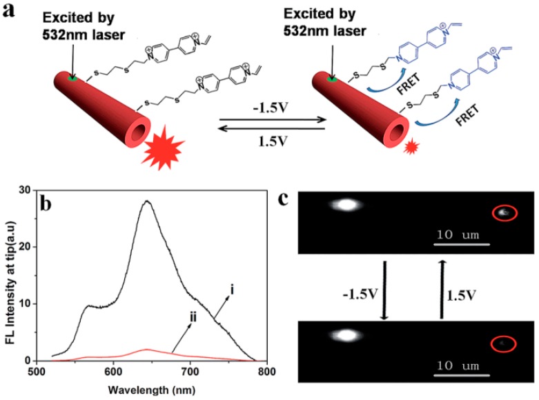 Figure 13