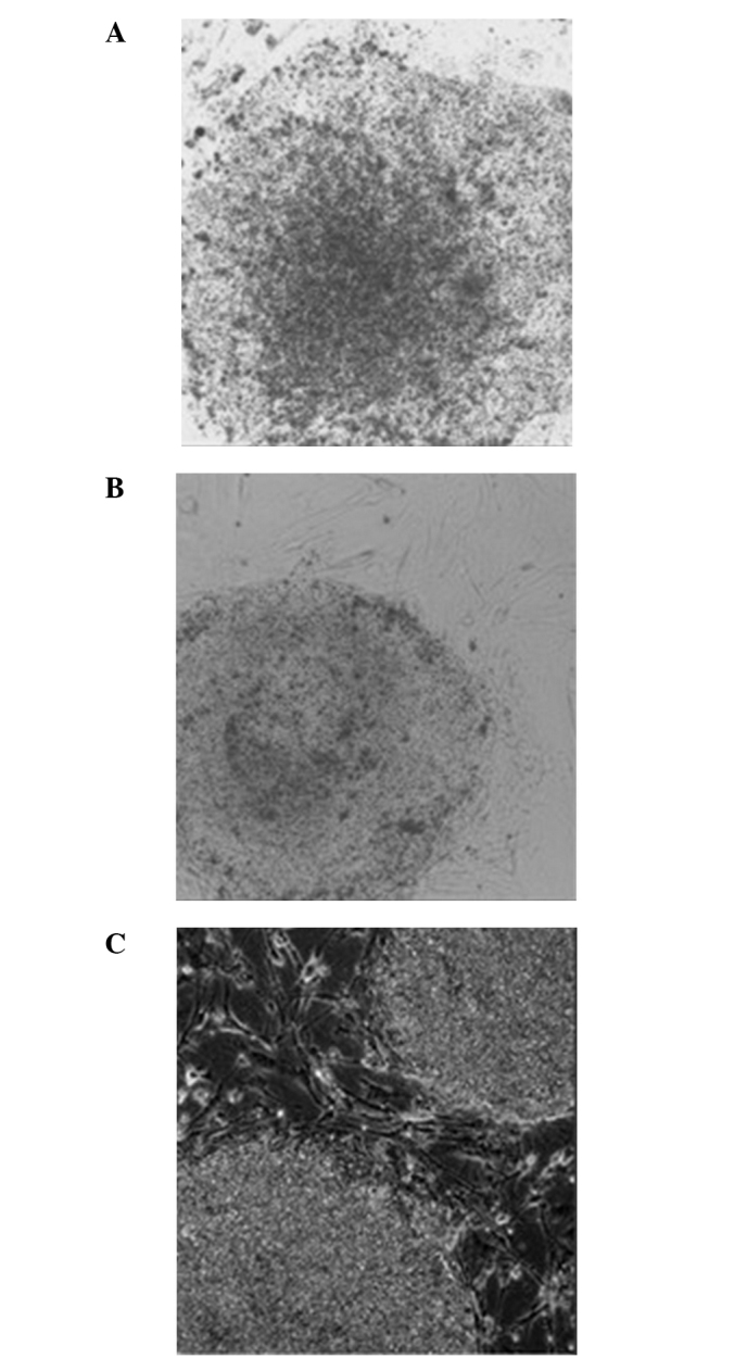 Figure 5.