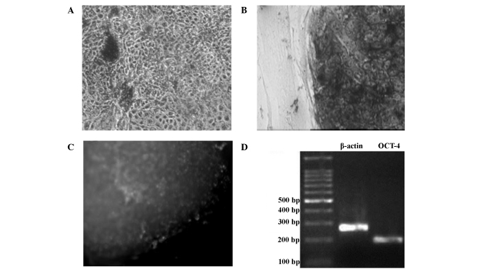 Figure 6.