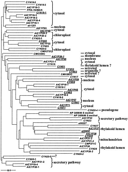 FIG. 2.