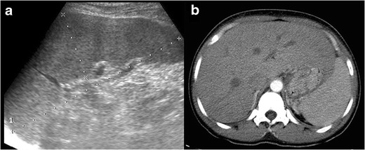 Fig. 5