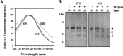 Fig. 9.