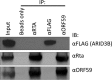 FIG 5