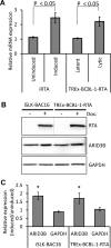 FIG 2