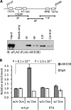 FIG 6