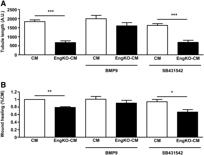 Figure 7