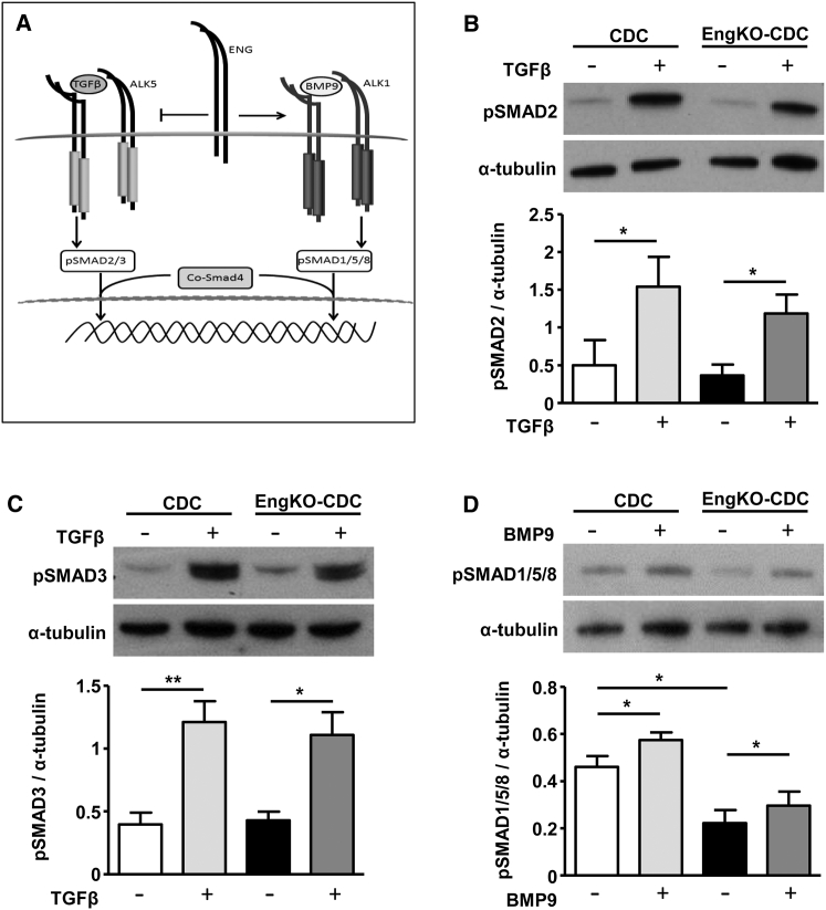 Figure 6