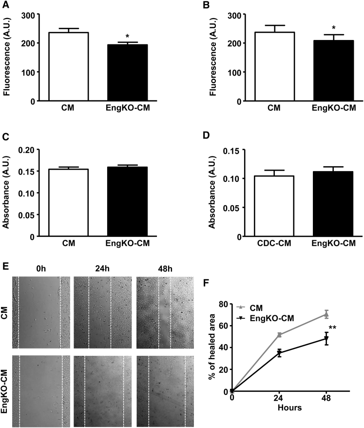 Figure 5