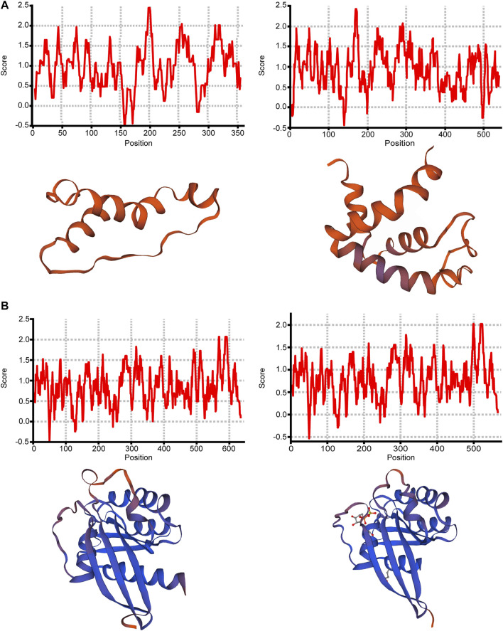 FIGURE 5