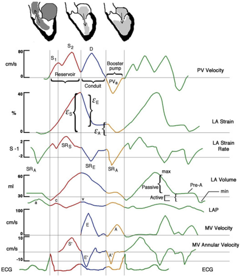 Fig. 1