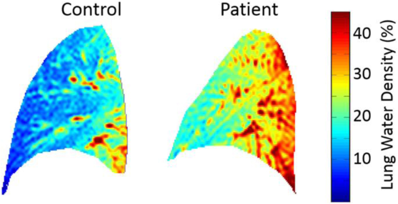 Fig. 9