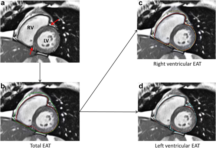 Fig. 8