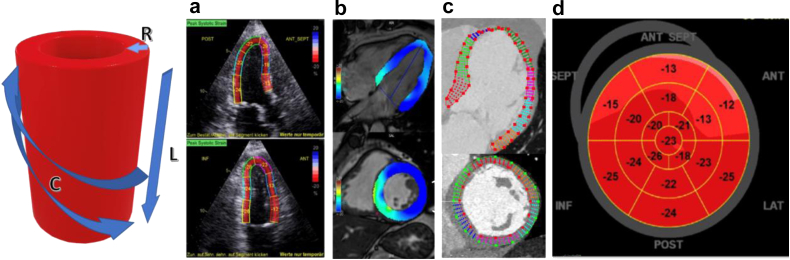 Fig. 3