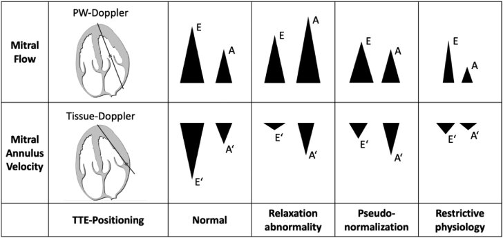 Fig. 2