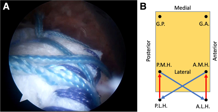 Fig 8