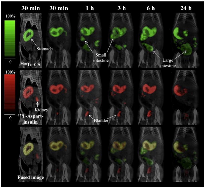 Fig. 4