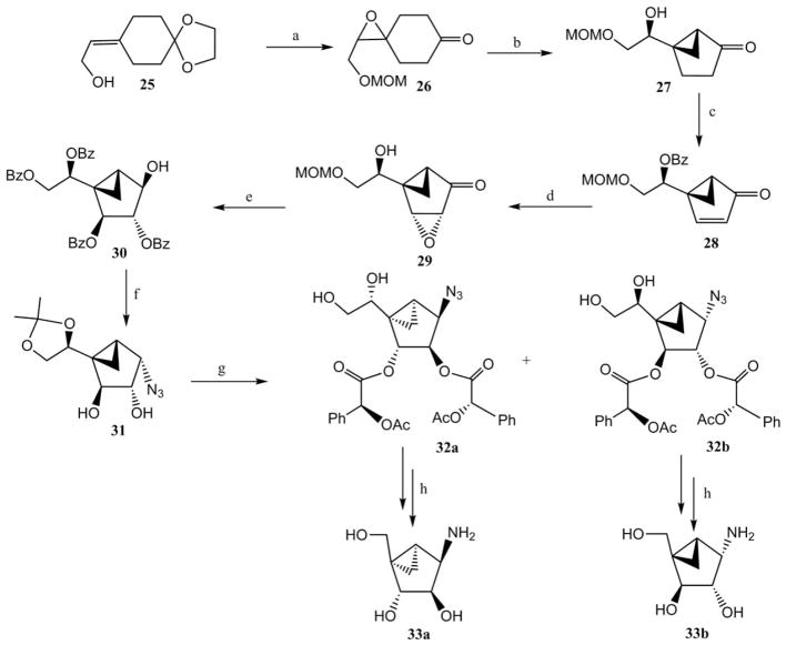 Scheme 4