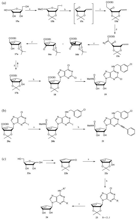 Scheme 3