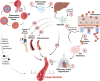 Image, graphical abstract