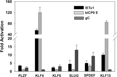 Fig 5