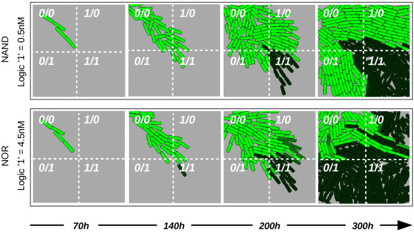 Figure 10